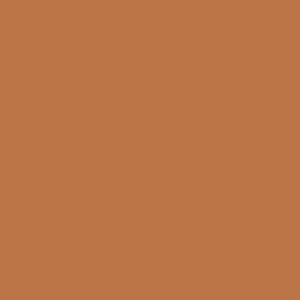 #SS10 Light Earthy Orange