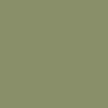 #SS17 Army Green