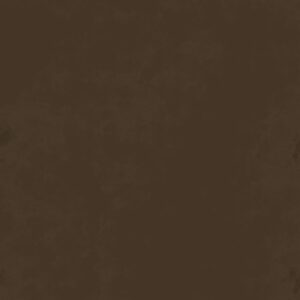 #63 Brown Texture
